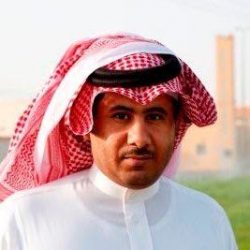 شاهد : هكذا اختبأت شجرة من مناشير الاحتطاب الجائر