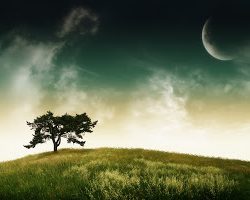 أبناء إنسان في تنمية الأفلاج
