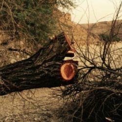 مبادرة تغير معنا