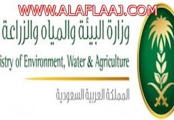 انطلاق حملة تطعيم طلاب وطالبات الصف الأول الابتدائي بمدارس الأفلاج