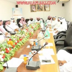 الحمير تنافس الجمال السائبة بطريق ليلى الأحمر وتخلّف حوادث