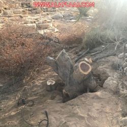 غدًا.. نشاط الذهب والمجوهرات تحت إدارة السعوديين