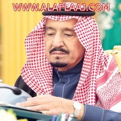 تزامنًا مع اليوم العالمي للتطوع تنمية البديع تحتفي بالمتطوعات في حصاد الموسم