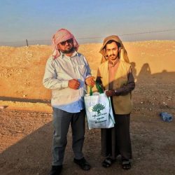إزالة النخيل المهملة والمصابة بسوسة النخيل في مناطق المملكة