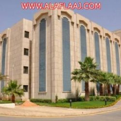 كفاية مُناشدات