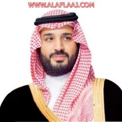 ولي العهد: المملكة وروسيا تعملان معا لتحقيق الاستقرار في الشرق الأوسط