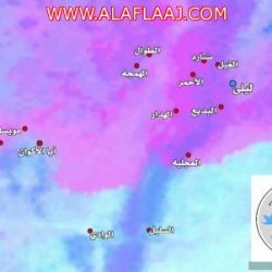 ٦٦ حالة آخر إحصائية لمصابي أمراض الربو وضيق التنفس