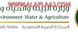 معاناة طالبات جامعة الأمير سطام بالأفلاج على قناة روتانا خليجية الأحد القادم