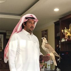 هيئة تنظيم الكهرباء توضح كيفية تحصيل القيمة المضافة لطلبات إيصال الخدمة الكهربائية الجديدة