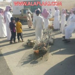 المجلس المحلي بالأفلاج يودع أعضاءه السابقين