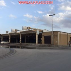 تنطلق غداً الأربعاء فعاليات مكافحة الأمراض المعدية ونواقل المرض في مستشفى الأفلاج