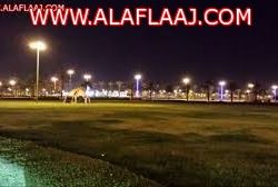 “يزيد الشكرة ” يحقق لقب شاعر حطين