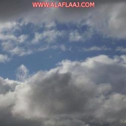 الصحة : لن يتم الاستغناء عن أي موظف أو تحويله إلى القطاع الخاص إلا برضاه