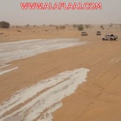 الزايد يعلن بدء برنامج الاعتماد التربوي في مدارس الأفلاج