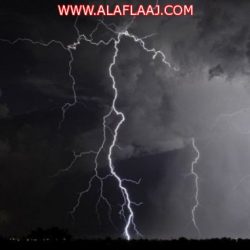 “العيسى”: هذه هي منهجيتنا الجديدة للقضاء على “الحفظ” وتعزيز “الفهم”