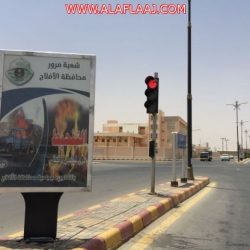 «التعليم»: لا نية لتوظيف معلمين غير سعوديين في المدارس الحكومية