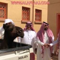 بالصور : البريد يحتفي بمتقاعديه بحضور المدير الجديد