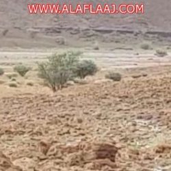 ملتقى إعلاميون يطلق مبادرة وطنية “أطفالنا أمن ووطن”