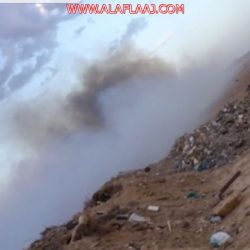 “إعلاميون”: يحتفون بمرور عام على ولاية العهد.. نجاحات دولية ونتائج تختصر سنوات ضوئية