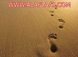 مدير تعليم الأفلاج الجديد يباشر عمله
