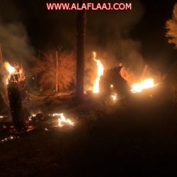 كيف ترى نفسك ؟