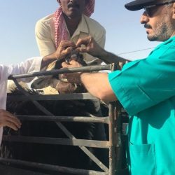بلدية الأفلاج تعلن جاهزية المسالخ والمطابخ وتحذر من مخالفة تسعيرتها