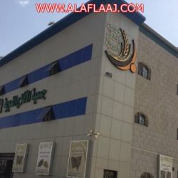 بالصور : بُشرى تتصدر بالامتياز في تقييمها الحوكمي