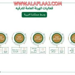 محافظ الأفلاج المكلف يكرّم مدير مكافحة المخدرات