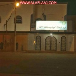 هيئة الترفيه تدهش المواطنين بثلاث فعاليات كبرى ‏ضمن احتفالات اليوم الوطني 88