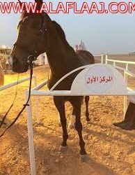 ضعف شبكة الإنترنت يثير الاستياء بمركز الصغو  بالأفلاج