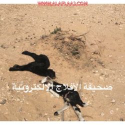 راشد النتيفات ينضم لطاقم التحرير في صحيفة الأفلاج الإلكترونية