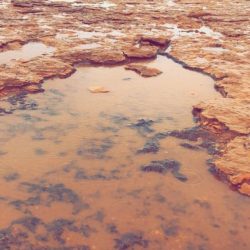 صور من الأمطار الخفيفه التي هطلت على الجويفاء