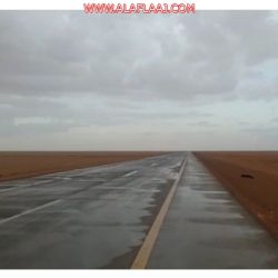 النائب العام: شجار واشتباك داخل القنصلية تسبَّبا في وفاة خاشقجي.. وإيقاف ١٨ شخصًا