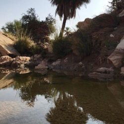 بلدية الأفلاج تواصل أعمالها في تحسين الأحياء الجديدة