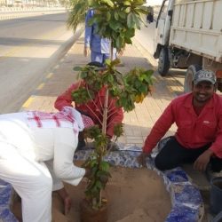 تعليم الأفلاج يعلن عن توفر عدد من الوظائف