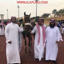 “المطلق” يدعو للفرح بالمطر.. وهذا رأيه في عبارة سوء الأحوال الجوية