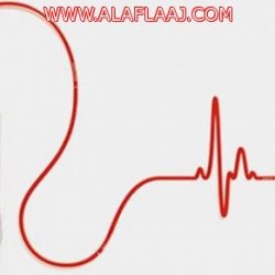 مركز المرأة الإجتماعي يختتم دورة تدريبية  #السيح #الأفلاج