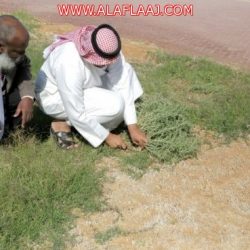 التنمية الأسرية تقيم ملتقى “رقي” الموجه لحراس الآمن الصناعي