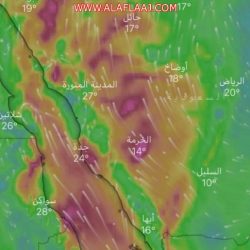 بالصور.. النادي التطوعي بكليات الجامعة ينظم فعالية اليوم العالمي للسكري