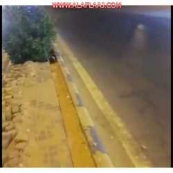 مركز الدعوة والإرشاد بالأفلاج ينظم برنامج التأصيل العلمي للإمام المجدد محمد بن عبدالوهاب التميمي