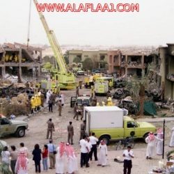 النعناع البري.. مخفف للحمى ومنشط للهضم ومدر للطمث