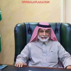 «الإبل السائبة».. خطر يهدد مستخدمي طريق الأفلاج – وادي الدواسر