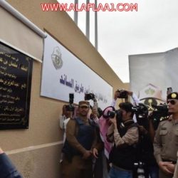 البيئة ترصد تكاثراً للجراد الصحراوي في الربع الخالي.. وتكافحه في السليل والأفلاج غداً
