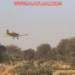 الشيخ راشد بن مبارك آل زنان إلى رحمة الله