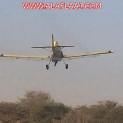 أمير الرياض يثمّن جهود مدير تعليم الأفلاج ومنسوبيه في ذكرى البيعة الرابعة