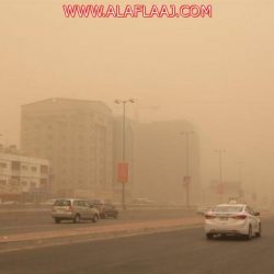 “الأرصاد”: أمطار رعدية على تبوك والجوف والشمالية وحائل والمدينة