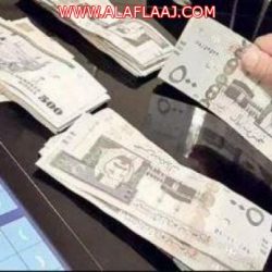 نزهة برية تتحوّل إلى توعية بيئية .. هُنا الدوافع والأسباب