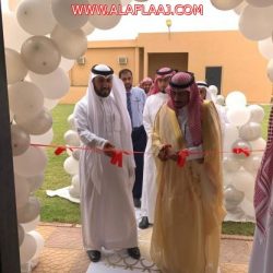 ذئب ستارة يستغل الأمطار  بالافتراس والهجوم على تساقط المطر