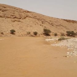 شاهد بالصور . جمعية تحفيظ القرآن الكريم تتوج بالمركز الأول في حفظ القرآن الكريم