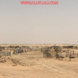 مستشفى الأفلاج يُكرم ال سليمان  بعد ٣٨ عام من الخدمة